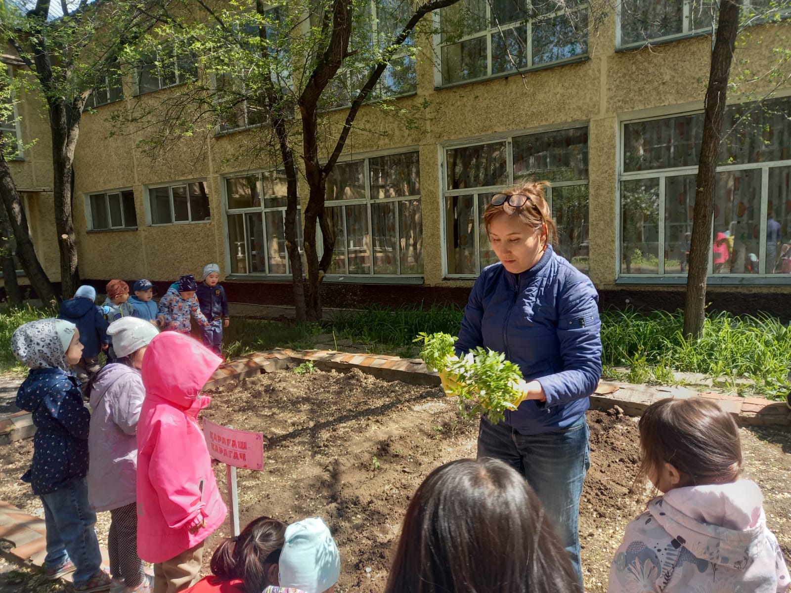 Бақша балабақша - көгалдандыру және күту. Метпе алды даярлық "Балдырған" тобы